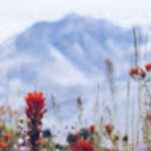 Meet your Posher, Juliette